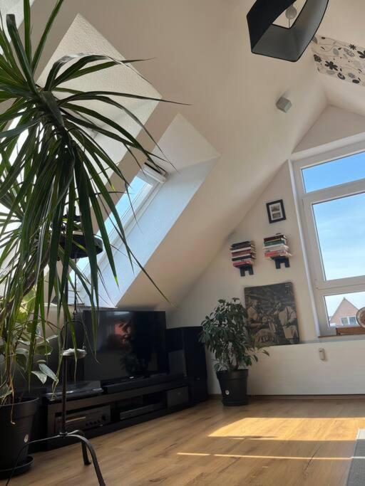 Gemuetliche Wohnung Mitten In エセンス エクステリア 写真